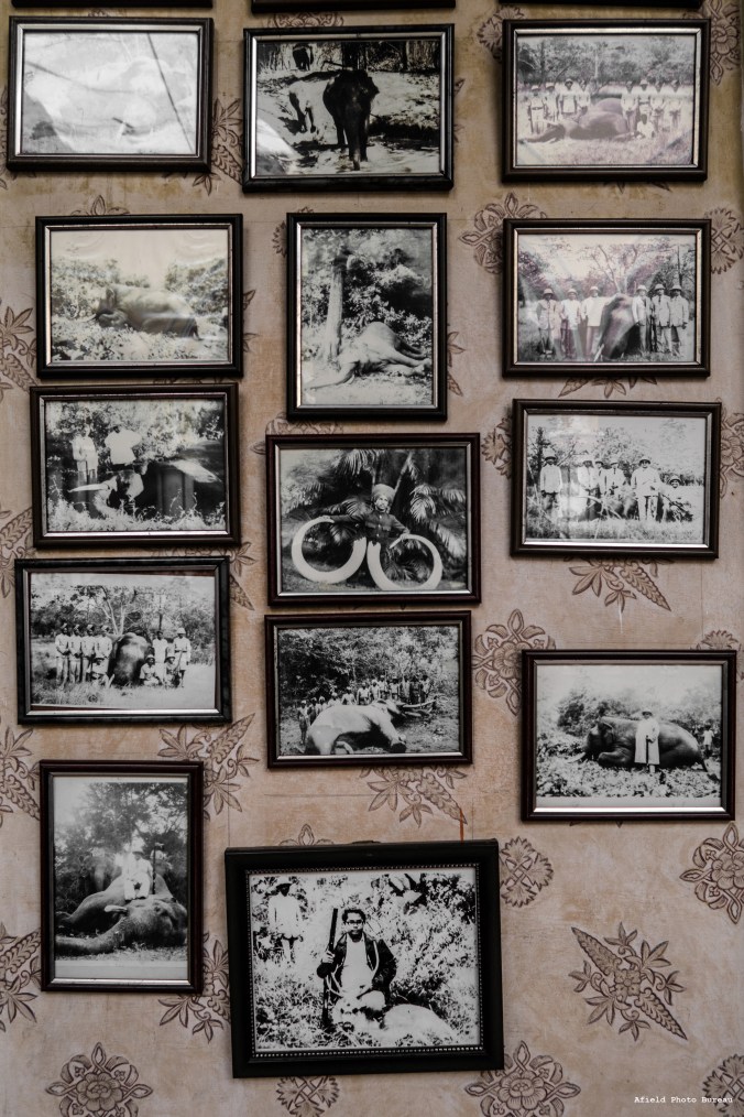 Photos from past hunts. 