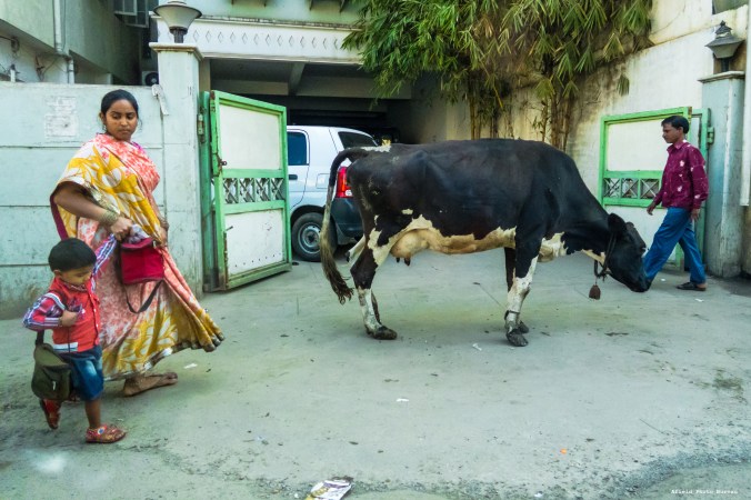 There will be no backing out of the driveway for the time being.