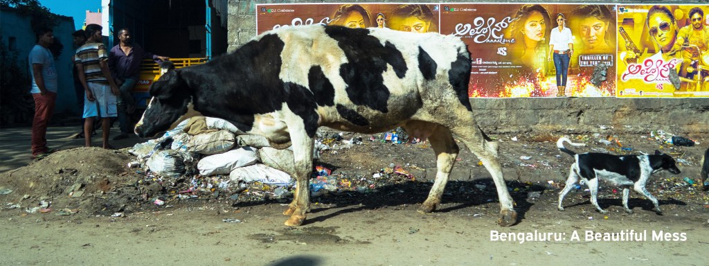 Bengaluru: A Beautiful&nbsp;Mess