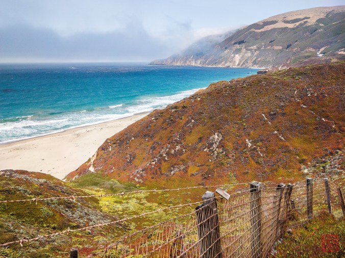CaliBigSur-1-23