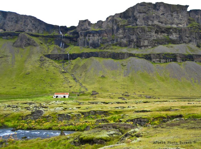 Damn fine view by Blondie.