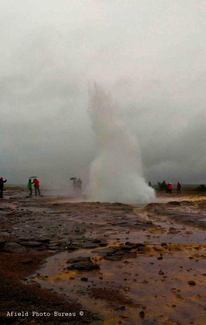 I'm sad to say that the best pic we got was with my phone. 