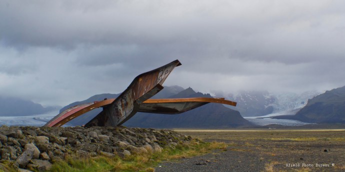 The twisted remnants.