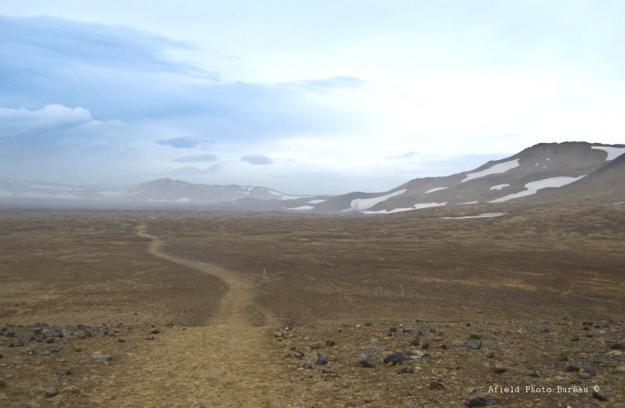 The trail leading back to the parking area. Pic by Blondie
