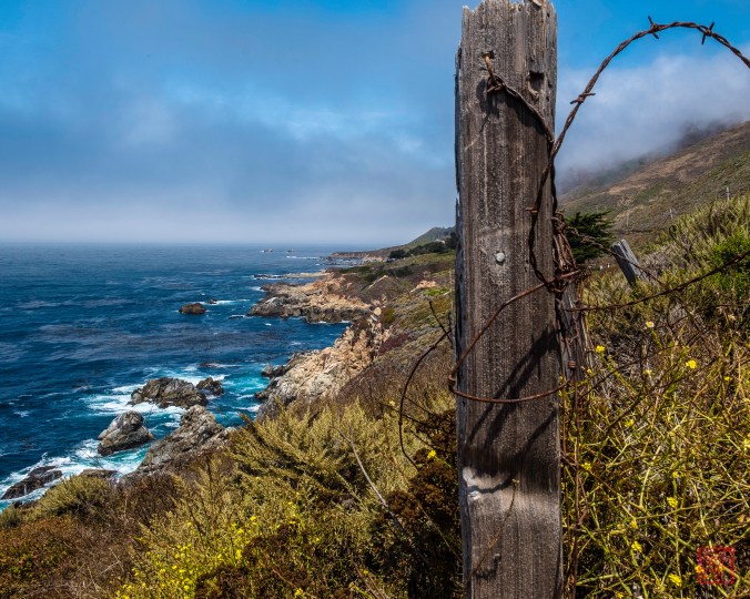 CaliBigSur-1-32